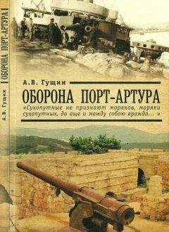 Андрей Гущин - Русская армия в войне 1904-1905 гг.: историко-антропологическое исследование влияния взаимоотношений военнослужащих на ход боевых действий