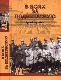 Анатолий Грицкевич - Западный фронт РСФСР 1918-1920. Борьба между Россией и Польшей за Белоруссию