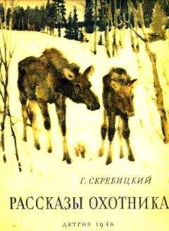 Георгий Скребицкий - Рассказы охотника