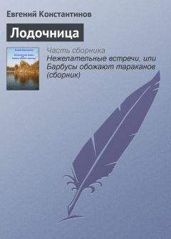 Евгений Константинов - Вложения в мысли с невероятными последствиями