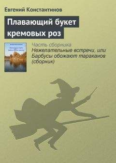 Евгений Константинов - Вложения в мысли с невероятными последствиями