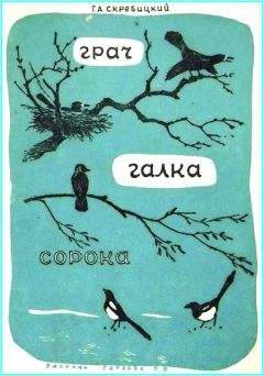 Борис Рябинин - Рассказы о потерянном друге