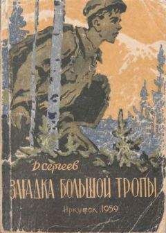 Анна Устинова - Загадка туристического агенства