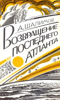 Александр Шалимов - Кто нажмет на «стоп-кран»?