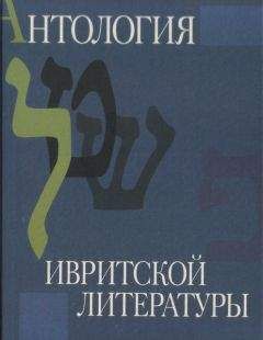 Елизавета Несова - Все огни – огонь