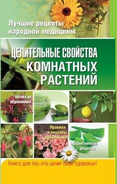 Ольга Климова - Живица Земная. Советы и рецепты от известного травника