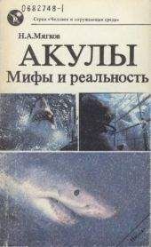 Брайан Хэйр - Почему собаки гораздо умнее, чем вы думаете