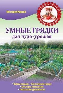 Николай Курдюмов - Огородные секреты большого урожая на ваших грядках