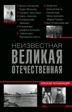 Николай Непомнящий - Неизвестная Великая Отечественная