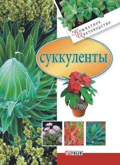 Наталия Костина-Кассанелли - Комнатные деревья и кустарники