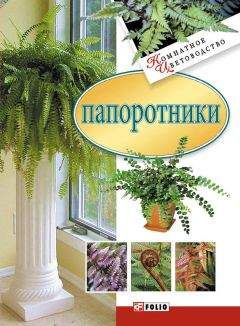 Светлана Королькова - Все о самых лучших садовых и комнатных растениях. Как выбирать, выращивать и размножать