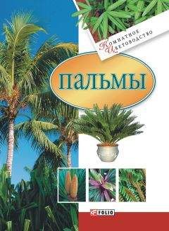 Ермаков Семенович - Витаминные растения в любительском садоводстве