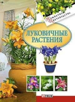 Илья Мельников - Комнатные растения. Зимние и многолетние цветы