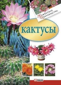 Светлана Королькова - Все о самых лучших садовых и комнатных растениях. Как выбирать, выращивать и размножать