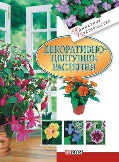 Татьяна Дорошенко - Луковичные растения