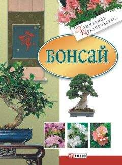 Долма Джангкху - Классический фэн-шуй. Сад – обитель Дракона