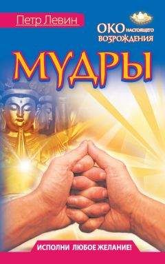 Петр Левин - Око настоящего возрождения. Практика обретения богатства от тибетских лам