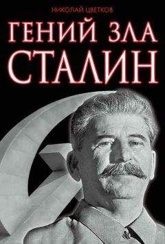 Юрий Емельянов - Сталин. Путь к власти