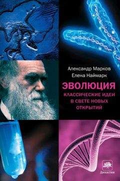 Александр Марков - Эволюция. Классические идеи в свете новых открытий