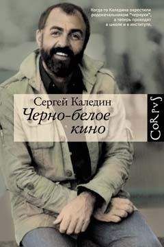 Сергей Каледин - Записки гробокопателя