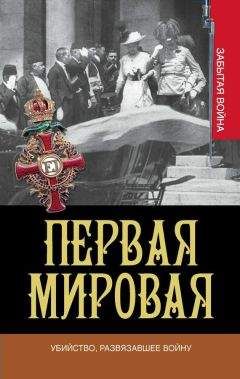 Петер Энглунд - Первая мировая война в 211 эпизодах