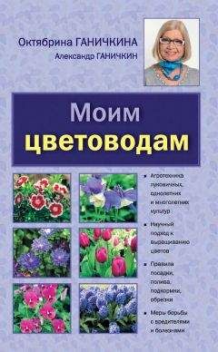 Александр Ганичкин - Сад и огород. Все самое важное для любимых дачников