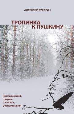 Аркадий Красильщиков - Рассказы о русском Израиле: Эссе и очерки разных лет