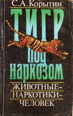 С Корыткин - Тигр под наркозом