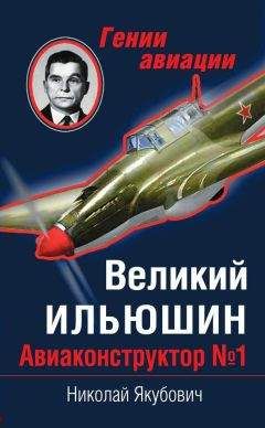 Николай Бодрихин - Туполев