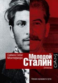 Алексей Богомолов - Добрый дедушка Сталин. Правдивые рассказы из жизни вождя