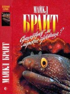 Вадим Мужчинкин - Морские львы и котики