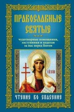 Евгений Поселянин - Русские подвижники 19-ого века