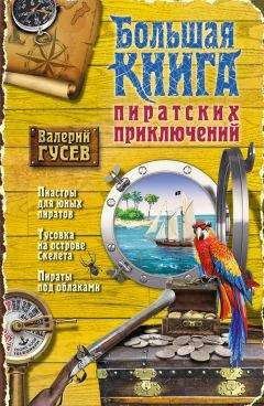 Валерий Шульжик - Фунтик и пират