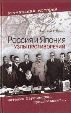 Александр Широкорад - Япония. Незавершенное соперничество