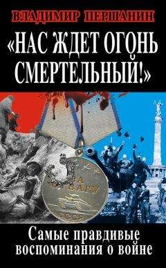 Артем Шейнин - Десантно-штурмовая бригада. Непридуманный Афган