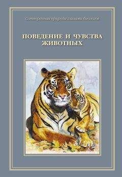 Дмитрий Бердышев - Самые необычные животные