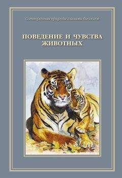 Борис Сергеев - От амёбы до гориллы,  или Как мозг учился думать