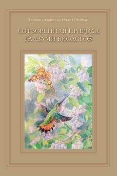 Борис Сергеев - От амёбы до гориллы,  или Как мозг учился думать