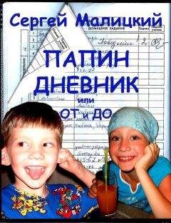 Майя ван Вейдженен - Популярность. Дневник подростка-изгоя