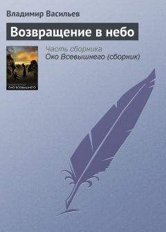 Владимир Васильев - Силуминовая соната