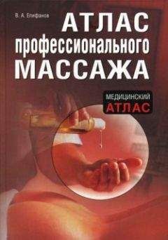 Владимир Васичкин - Массаж. Уроки великого мастера