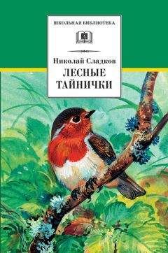 Виталий Бианки - Лесная газета. Сказки и рассказы (сборник)