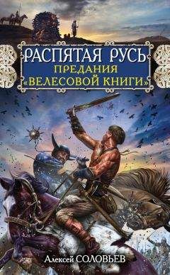 Виктор Поротников - Русь против Тохтамыша. Сожженная Москва