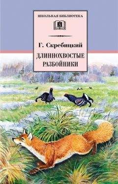 Николай Сладков - Лесные тайнички (сборник)