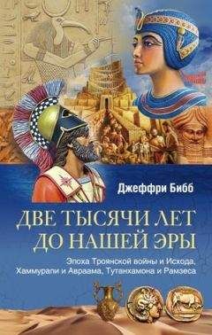 Джеймс Веллард - Вавилон. Расцвет и гибель города Чудес