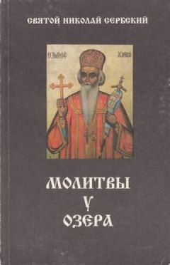 Николай Филин - Очарованная Душа. Книга первая