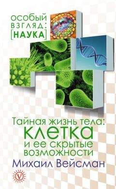 Владимир Рязанов - Азимут вечной молодости. Программа энергетической коррекции и регенерации живых клеток