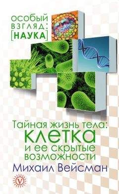 Михаил Вейсман - Рак. Все о чем умолчали врачи