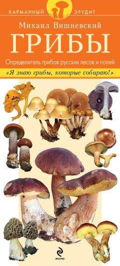 Группа авторов  - Выращивание грибов