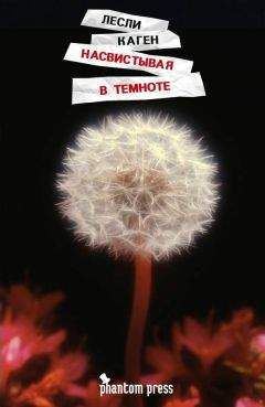 Гвидо ди Соспиро - Запретная книга